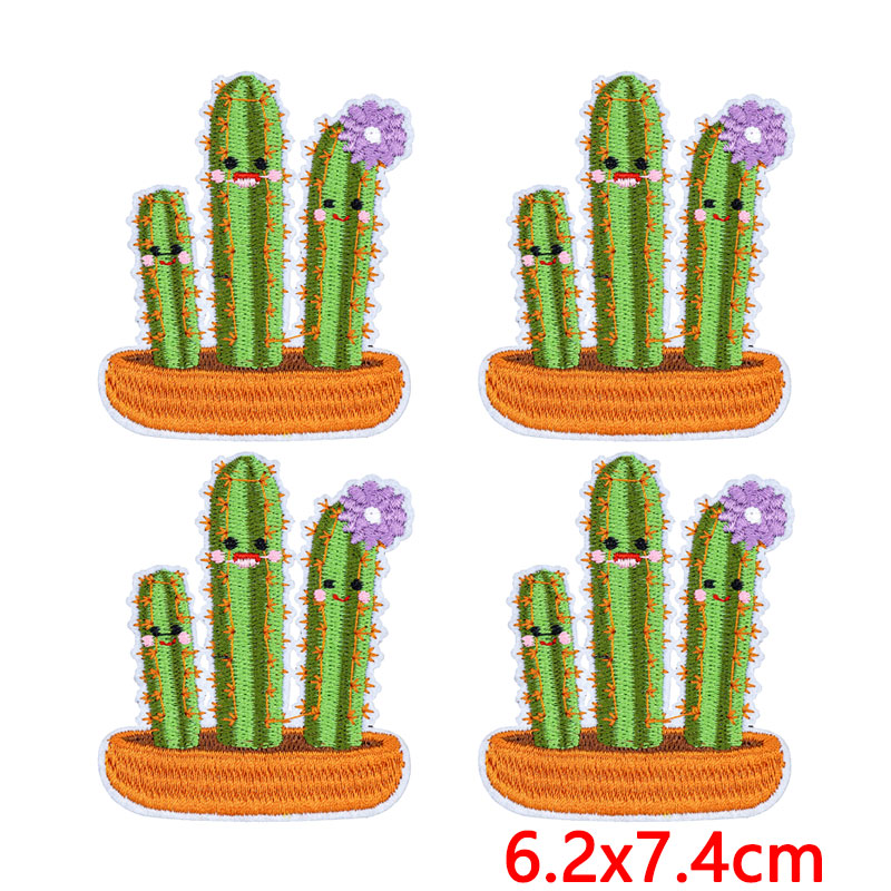10Pcs/Lot Western Desert Iron  - Aloe Vera Pot 리뷰 및 가격