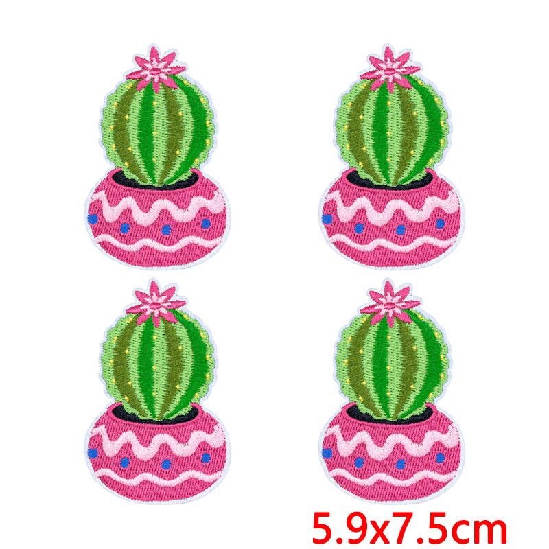 10Pcs/Lot Western Desert Iron  - Aloe Vera Pot 리뷰 및 가격
