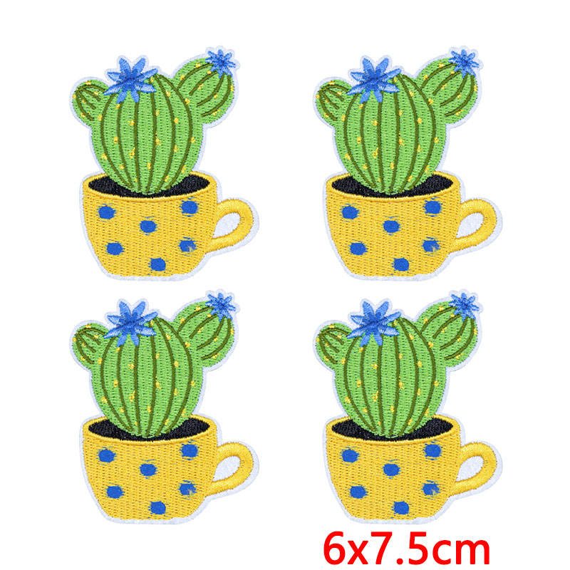 10Pcs/Lot Western Desert Iron  - Aloe Vera Pot 리뷰 및 가격