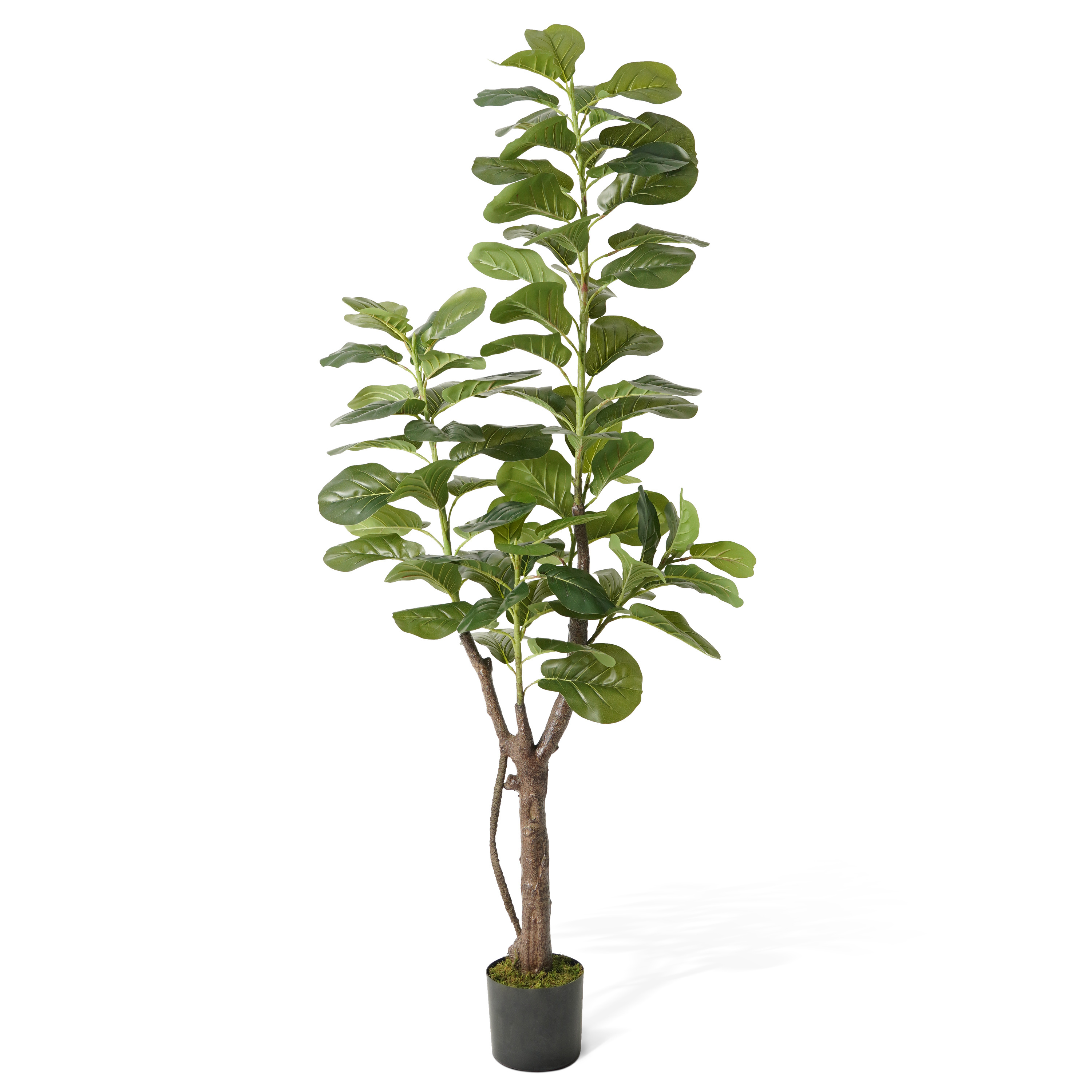CAPHAUS Artificial Fiddle Leaf - Ficus Lyrata Tree 리뷰 및 가격