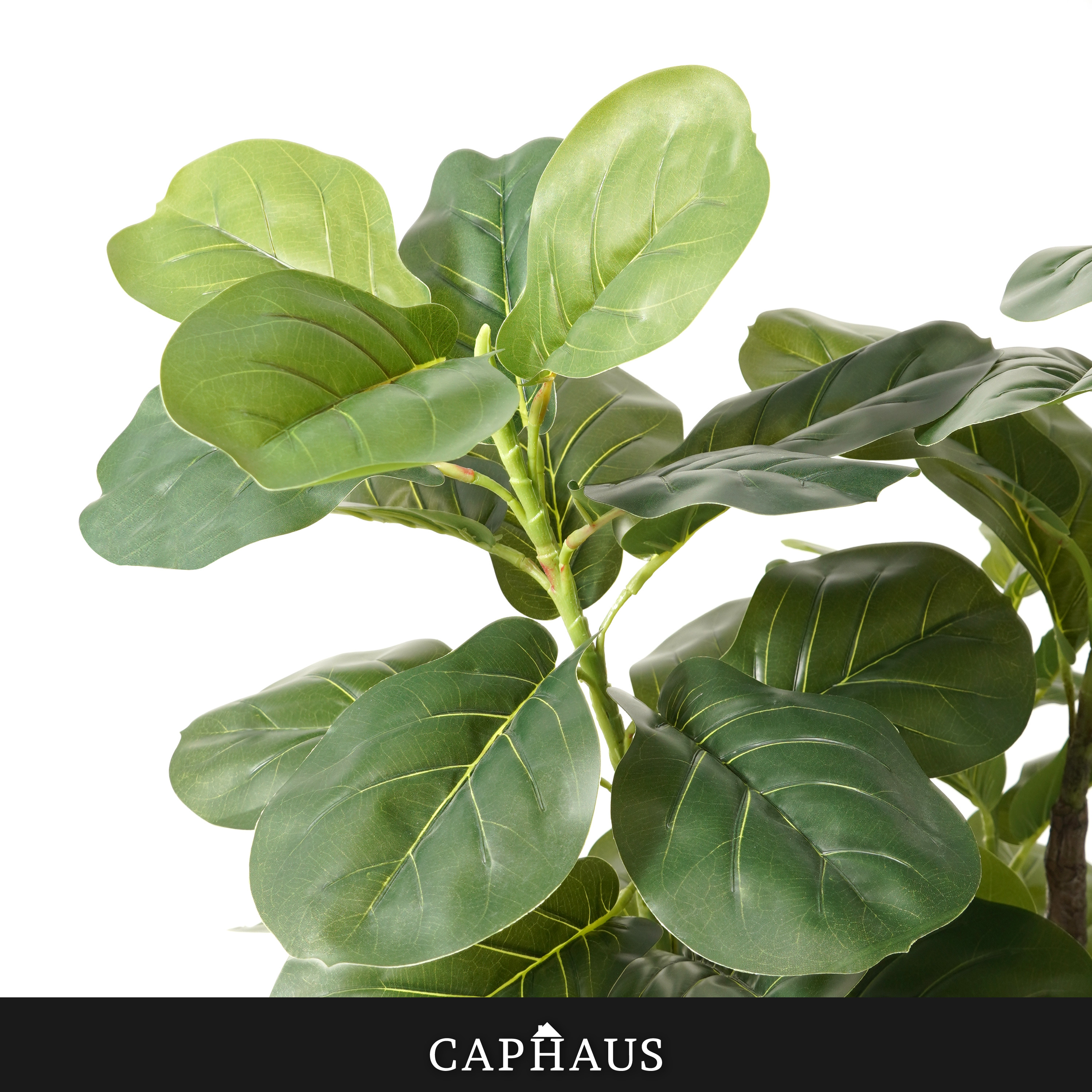 CAPHAUS Artificial Fiddle Leaf - Ficus Lyrata Tree 리뷰 및 가격
