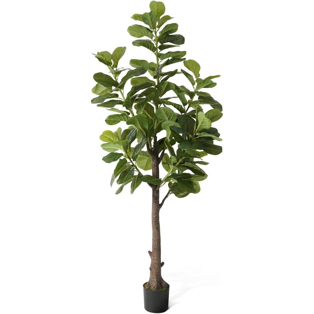CAPHAUS Artificial Fiddle Leaf - Ficus Lyrata Tree 리뷰 및 가격