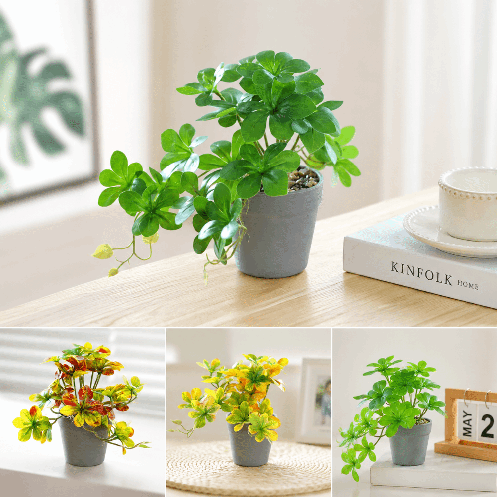 Bonsai Artificial Bonsai Plant - Spider Plant Hanging 리뷰 및 가격