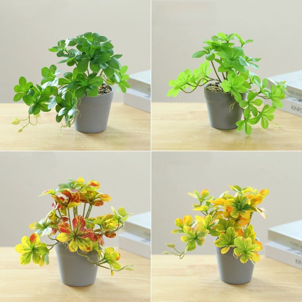 Bonsai Artificial Bonsai Plant - Spider Plant Hanging 리뷰 및 가격