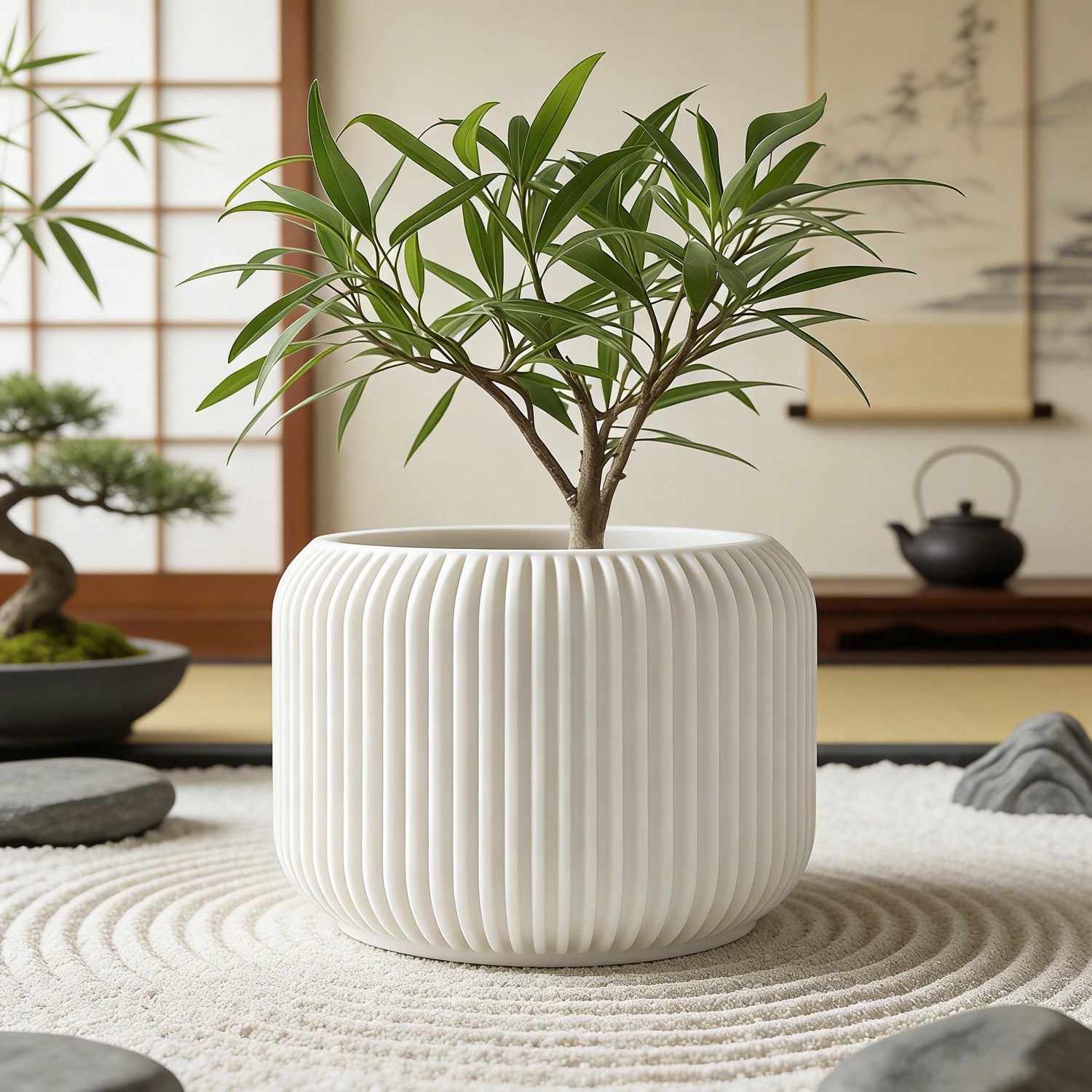 Modern Minimalist 3D Printed P - Aloe Vera Pot 리뷰 및 가격