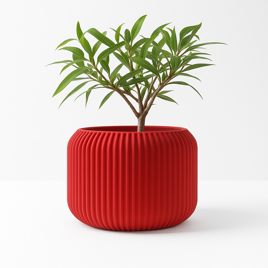 Modern Minimalist 3D Printed P - Aloe Vera Pot 리뷰 및 가격