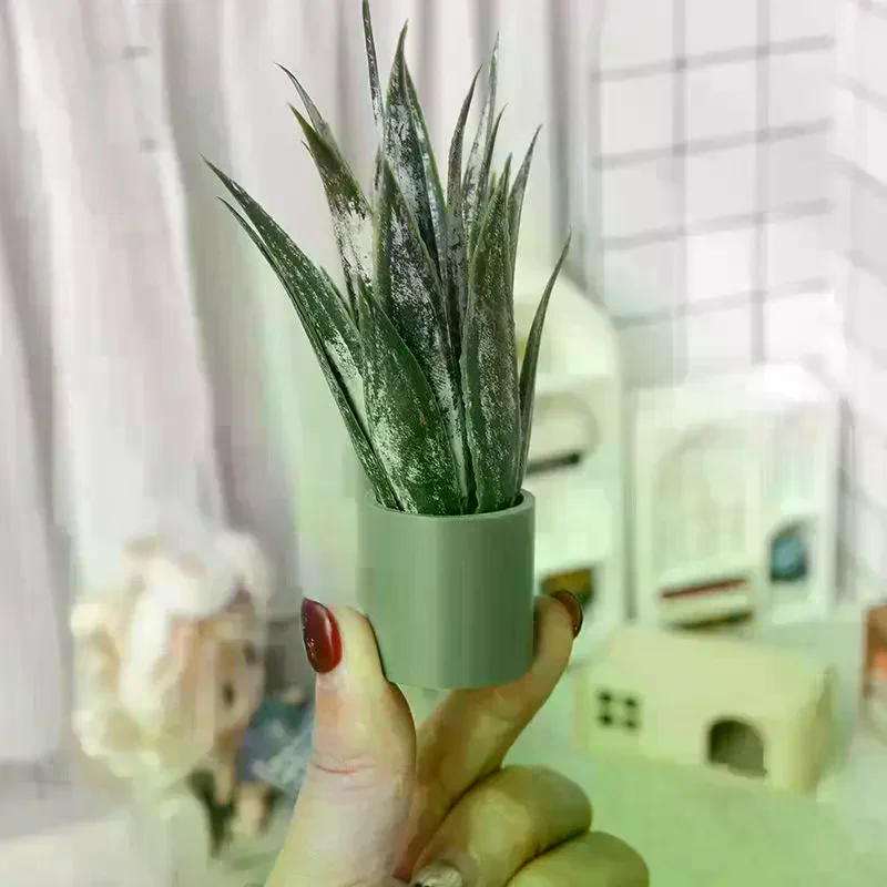 Dollhouse Decor Mini Aloe Vera - Aloe Vera Pot 리뷰 및 가격