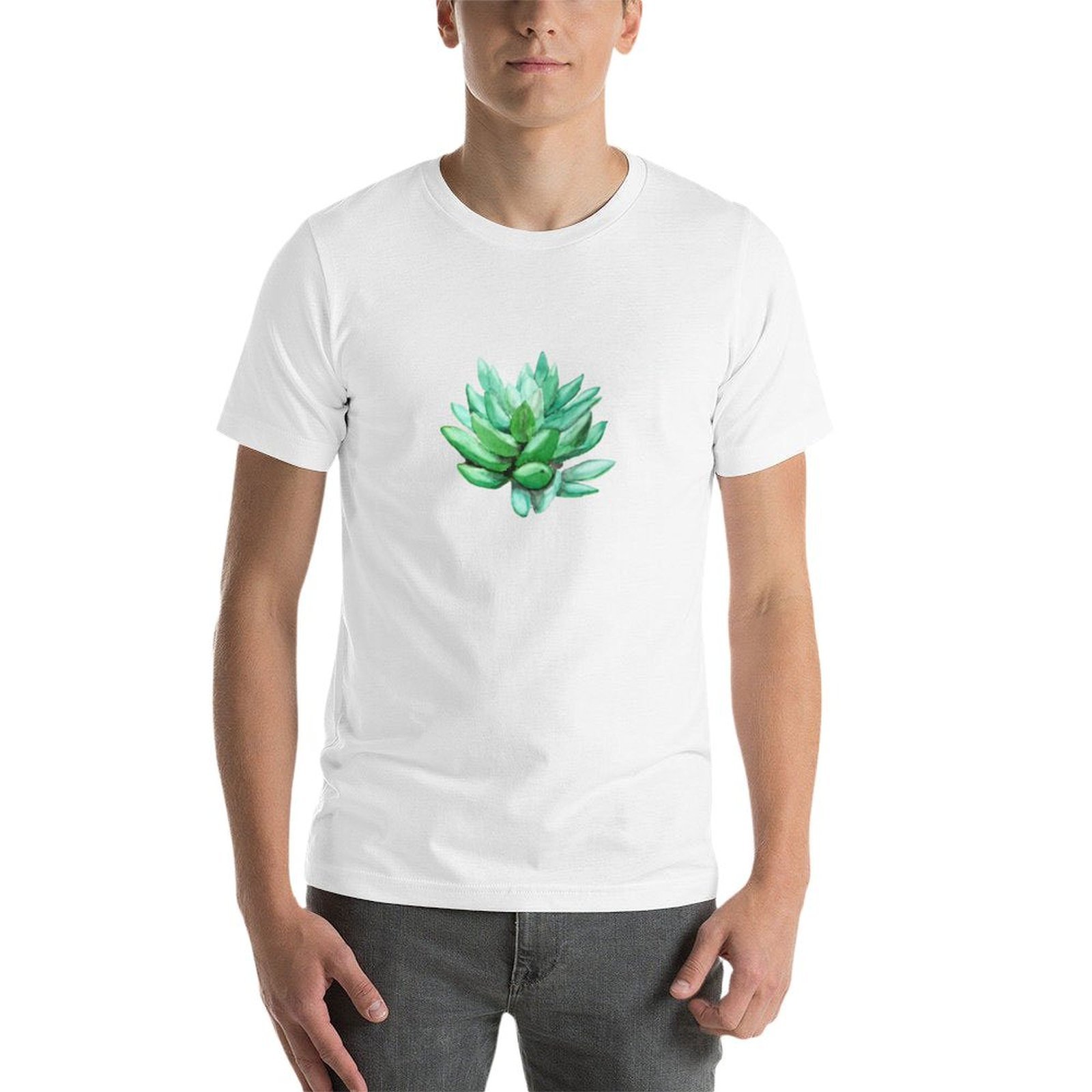 succulent echeveria T-Shirt t  - Echeveria Succulent 리뷰 및 가격