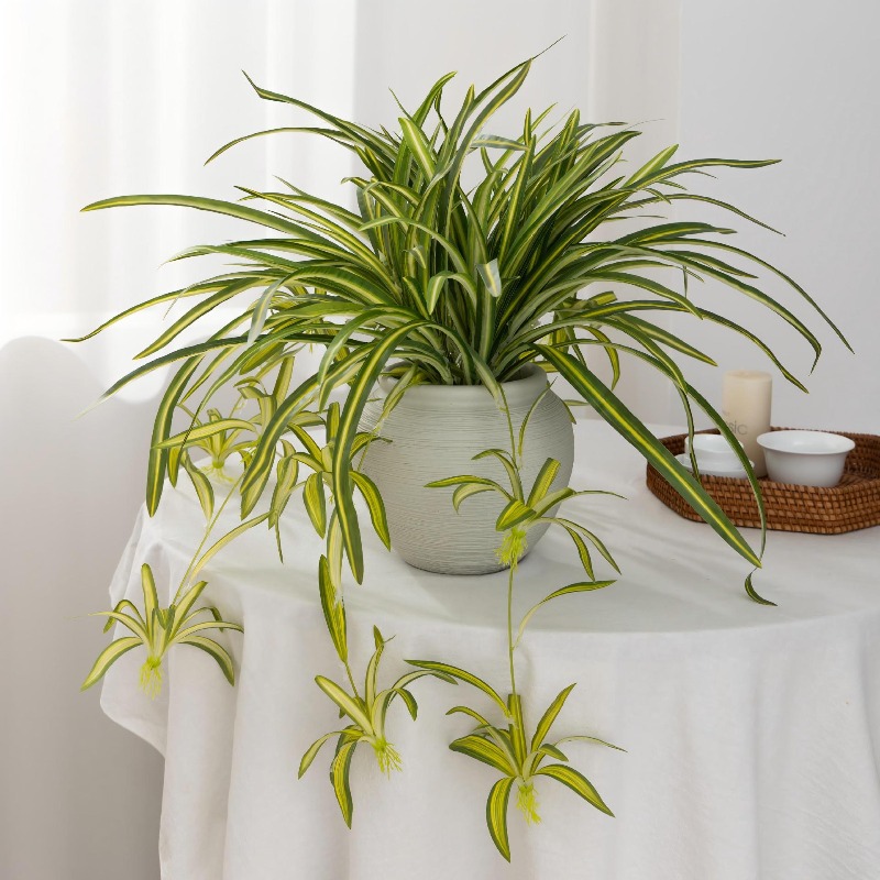 Artificial Spider Plant Chloro - Spider Plant Hanging 리뷰 및 가격