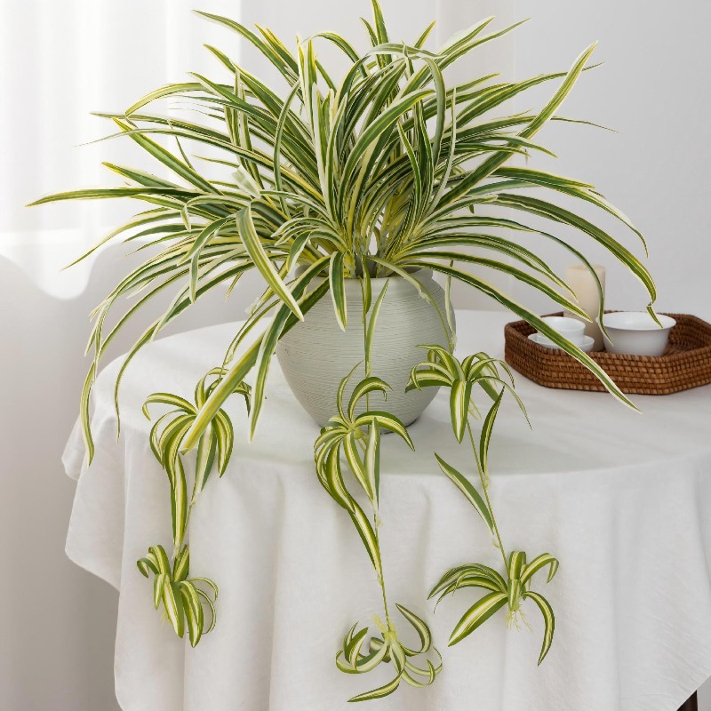 Artificial Spider Plant Chloro - Spider Plant Hanging 리뷰 및 가격