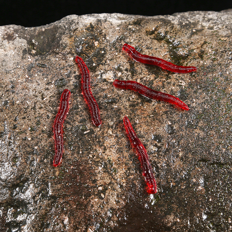 CIBO 50pcs-Artificial Red Worm - Aglaonema Red 리뷰 및 가격