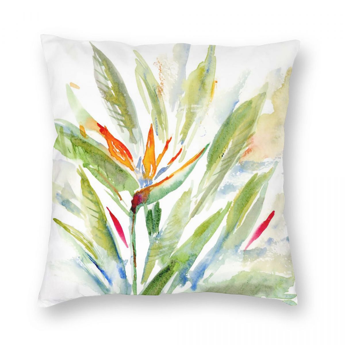 Bird Of Paradise Strelitzia Sq - Bird Paradise Strelitzia 리뷰 및 가격