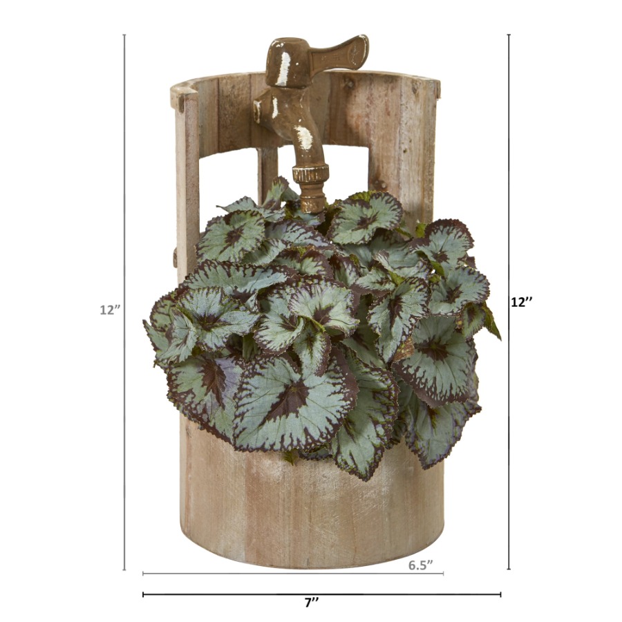 12in. Rex Begonia Artificial P - Begonia Rex 리뷰 및 가격