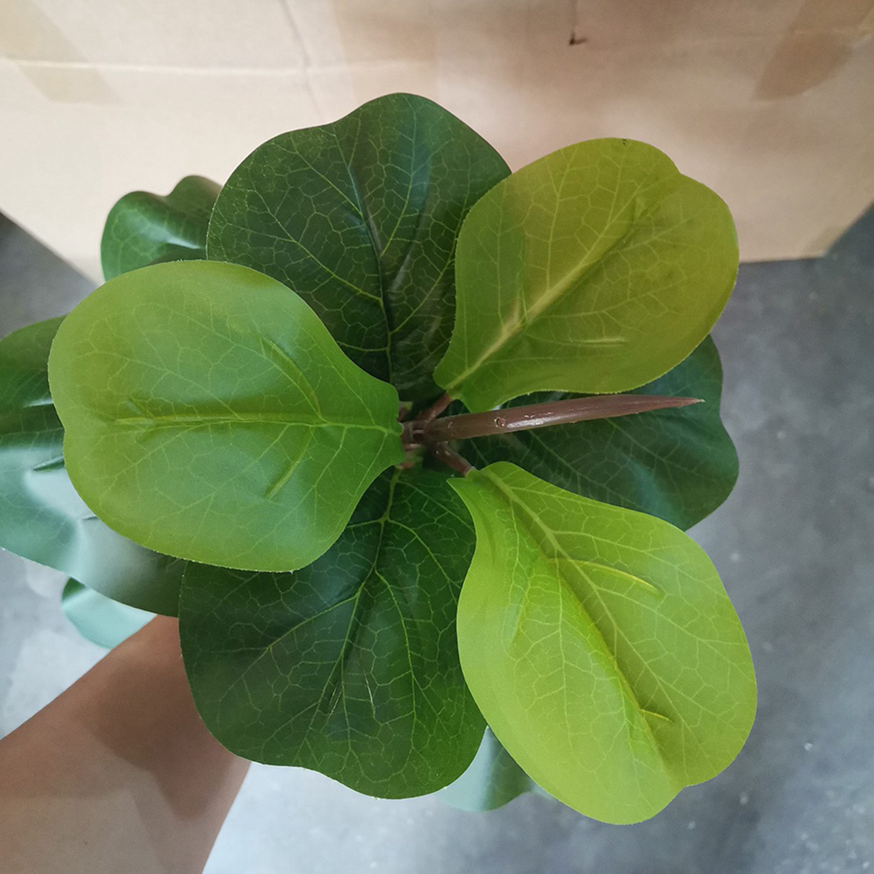 6X Artificial Plants Fiddle Le - Ficus Lyrata Tree 리뷰 및 가격