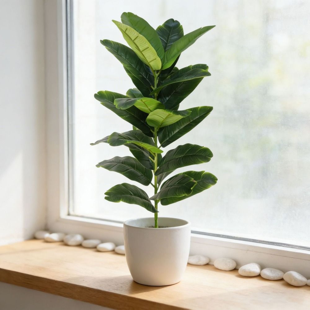 Green Plastic Artificial Ficus - Ficus Lyrata Tree 리뷰 및 가격