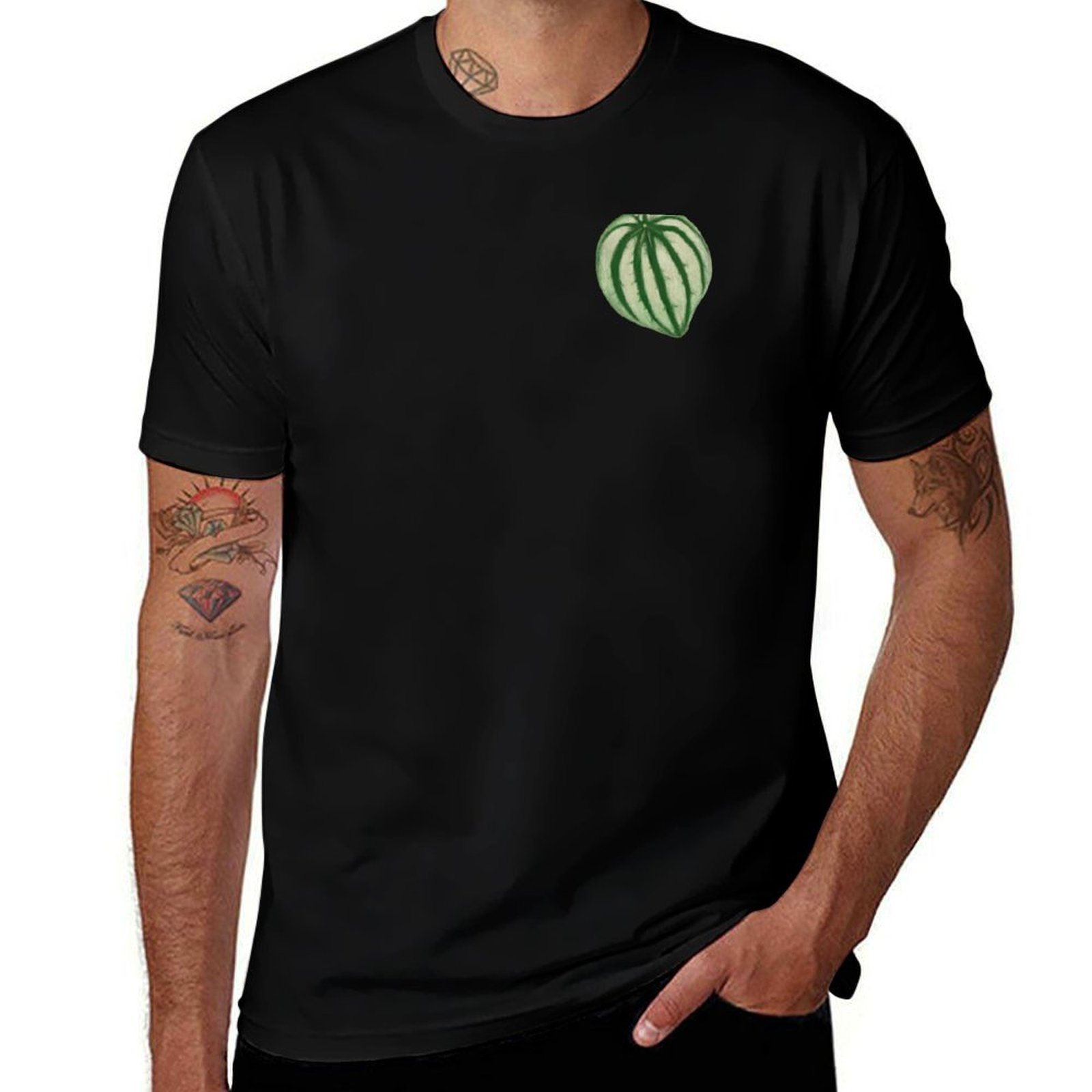 Watermelon Peperomia T-Shirt C - Peperomia Watermelon 리뷰 및 가격