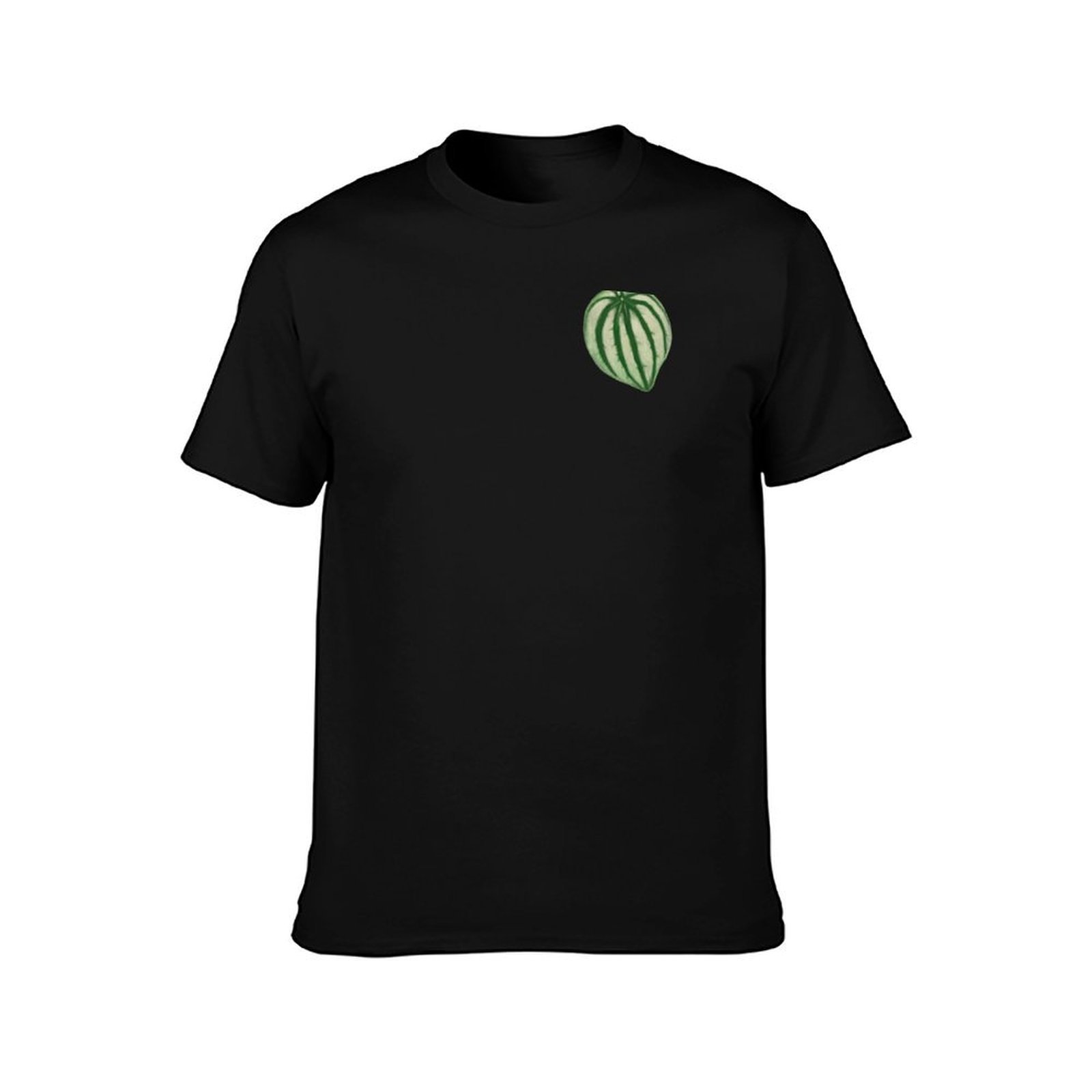 Watermelon Peperomia T-Shirt C - Peperomia Watermelon 리뷰 및 가격