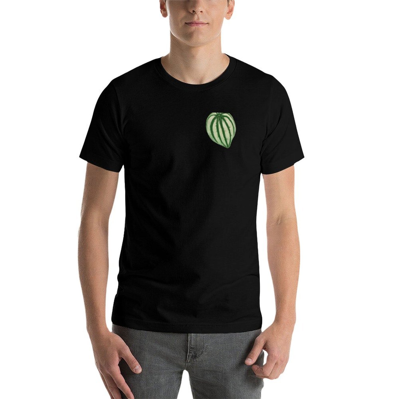 Watermelon Peperomia T-Shirt C - Peperomia Watermelon 리뷰 및 가격