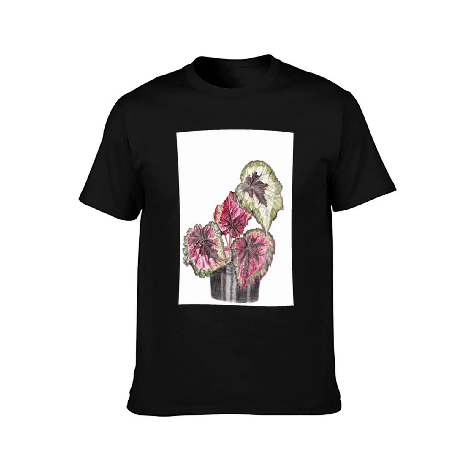 Begonia Rex T-Shirt Simple Gra - Begonia Rex 리뷰 및 가격