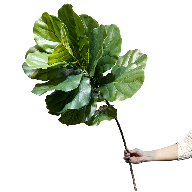 A Simulated Single-leaf Banyan - Ficus Lyrata Tree 리뷰 및 가격