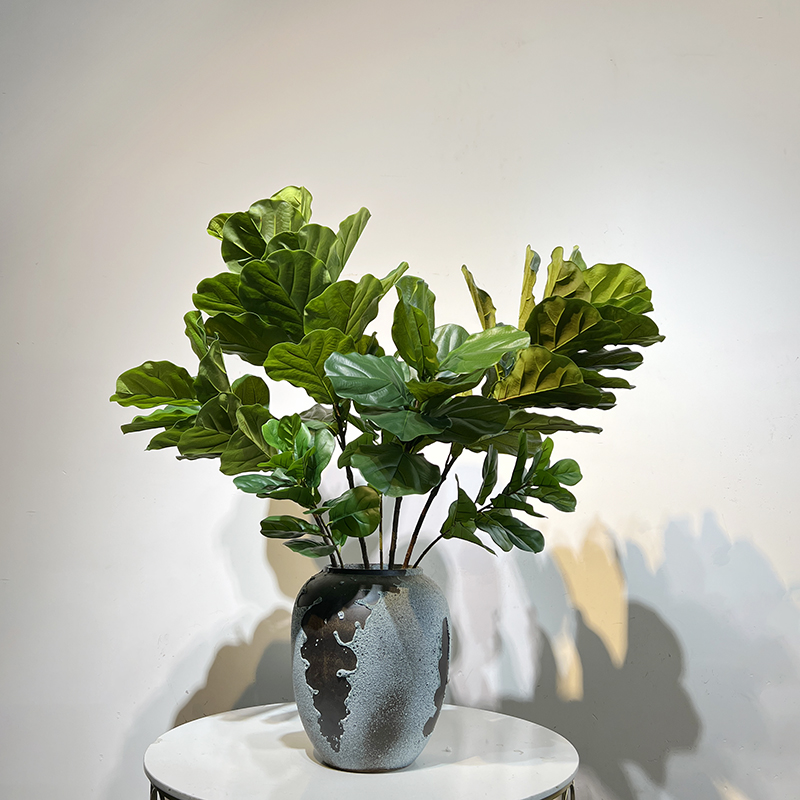 A Simulated Single-leaf Banyan - Ficus Lyrata Tree 리뷰 및 가격