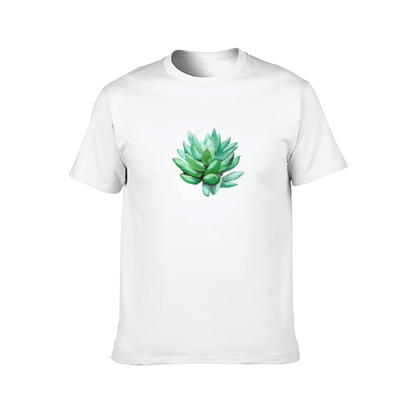 succulent echeveria T-Shirt ma - Echeveria Succulent 리뷰 및 가격