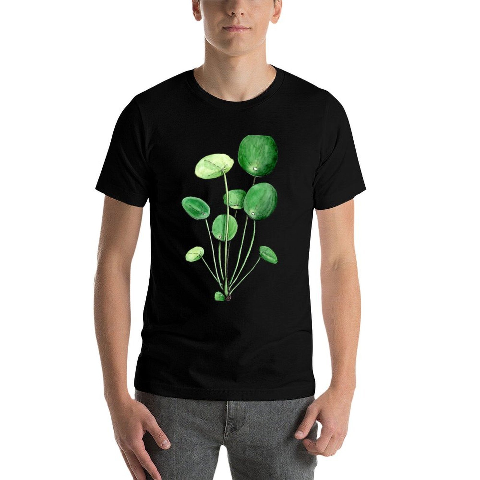 Pilea Peperomioides - Watercol - Pilea Peperomioides 리뷰 및 가격