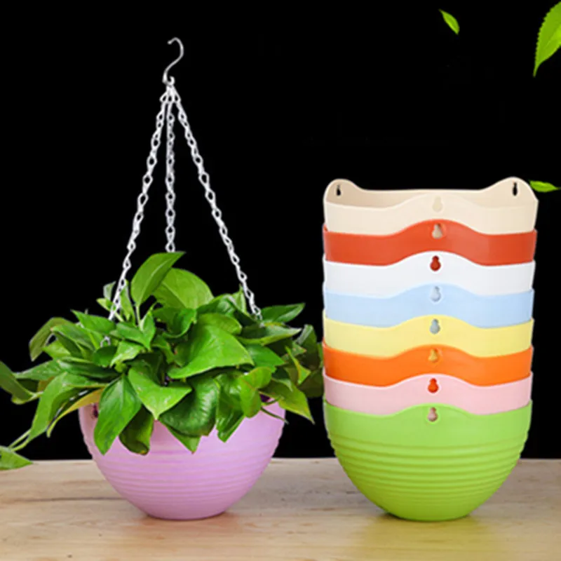 Plastic hanging basket flower  - Spider Plant Hanging 리뷰 및 가격