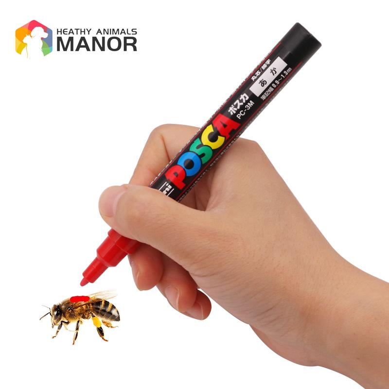 1Pcs Beekeeping Mark Pen Queen - Begonia Rex 리뷰 및 가격